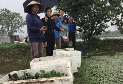 TP Bắc Giang: Thử nghiệm sinh sản nhân tạo giống ốc nhồi