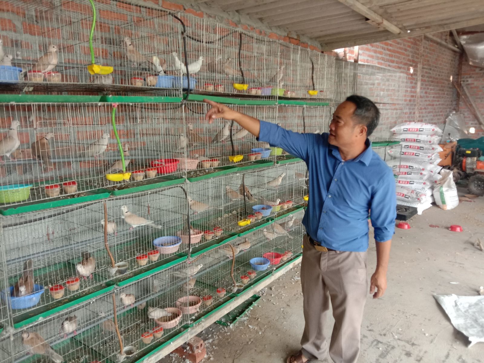 Nuôi chim sinh sản bảo tồn để phát triển | Hanoi